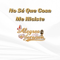 No Sé Que Cosa Me Hiciste