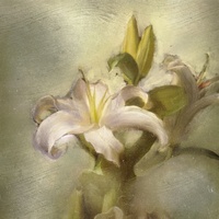 flower - instrumental
