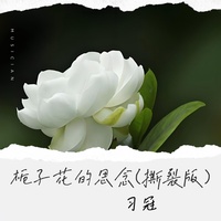 栀子花的思念 - 撕裂版