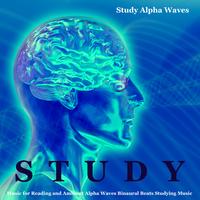 Calm Music for Concentration