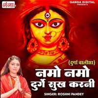 Namo Namo Durge Sukh Karni