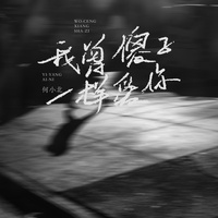 我曾像傻子一样爱你