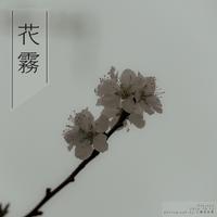 风吹雾(前奏)