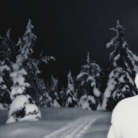 WINTER ARC