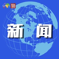 悬疑紧张社会犯罪新闻报道(剪辑版)