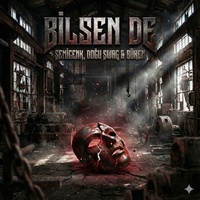 Bilsen De