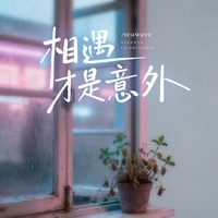 相遇才是意外(氛围版)