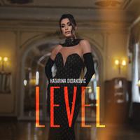 Level