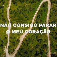 Não Consigo Parar O Meu Coração