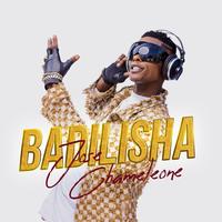 Badilisha