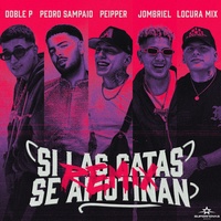 Si Las Gatas Se Amotinan (feat. DobleP) [Remix]