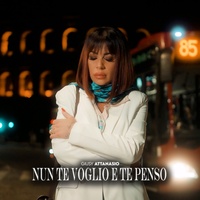 Nun te voglio e te penso