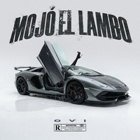 Mojó el Lambo