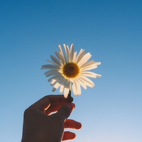 Soft Melody