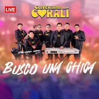 Busco Una Chica (Live)