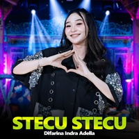 Stecu Stecu