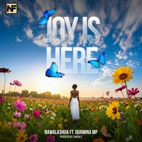 Joy Is Here