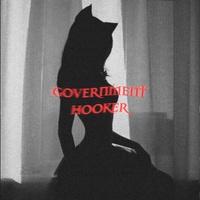 Government Hooker (Looksmaxxing)