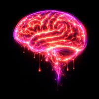 Brain
