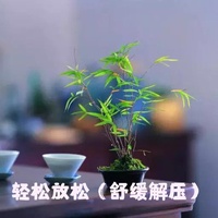 轻松放松(舒缓解压)