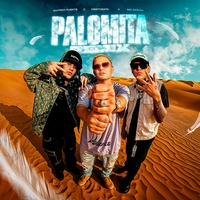 Palomita - Remix