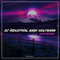 Dj Industrial Baby Wolfgang Slow Reverb