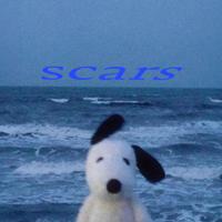 scars