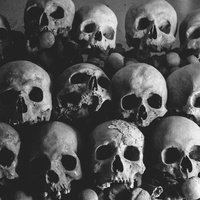 terror
