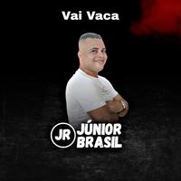 Vai Vaca