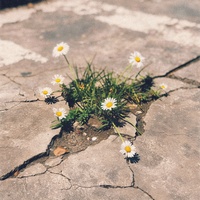 Mighty Name of Jesus - Live