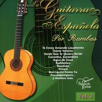 Te Estoy Amando Locamente (Guitar)
