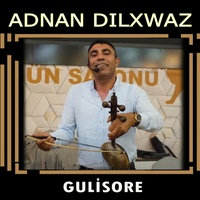 Gulisore