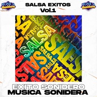 Solo Ire A Verte (SALSA SONIDERA)