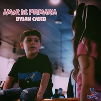 AMOR DE PRIMARIA
