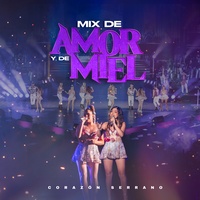 Mix De Amor y De Miel: Y Siempre / De Amor y De Miel / Tú La Tienes Que Pagar / Noches De Media Luna - En Vivo
