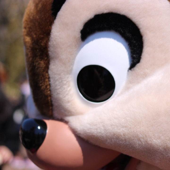 全部あざとい ディズニー ディズニーシー キャラグリ キャラグリ動画 ダフグリ動画 ダフグリ ダッフィー