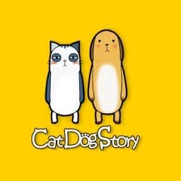 catdogstory