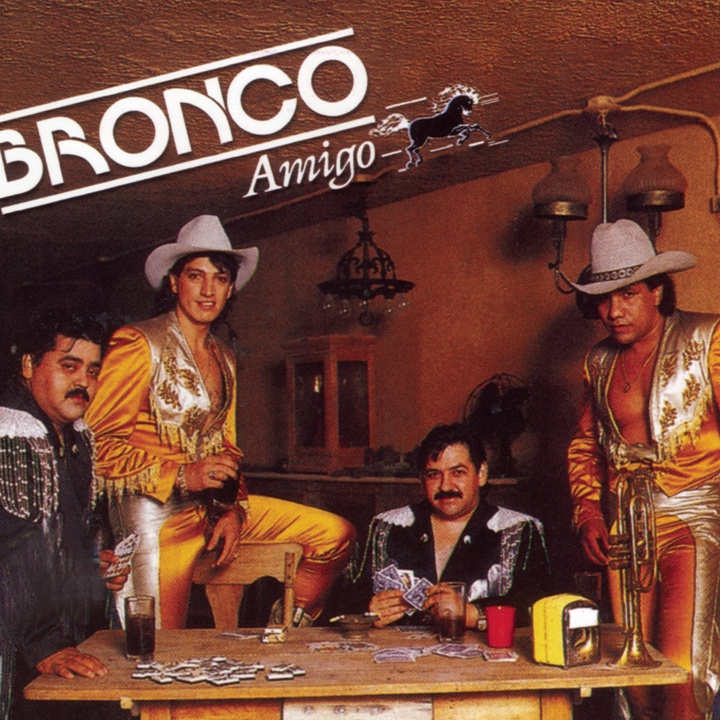 Bronco - Sed
