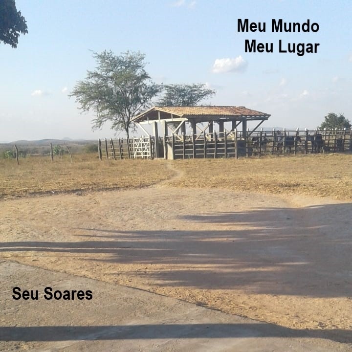 Cover Meu Mundo Meu Lugar