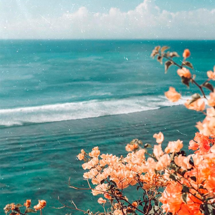 A special one for Laura - a colourful robin in memory of her ...