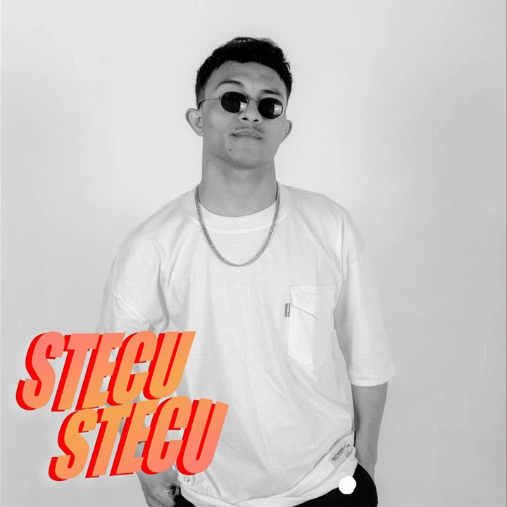 Cover Stecu Stecu