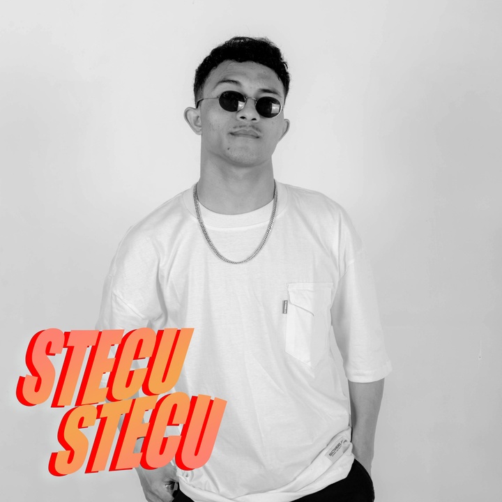 Cover Stecu Stecu