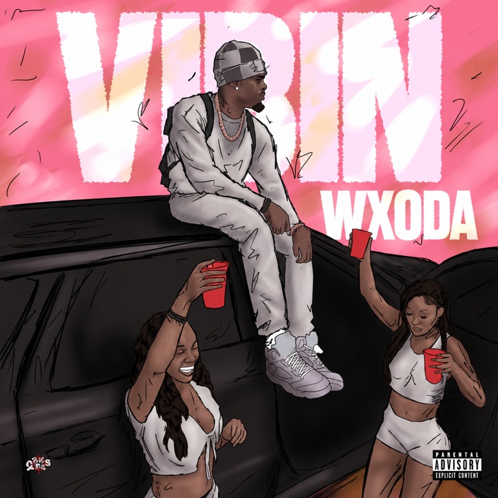 Vibin cover art
