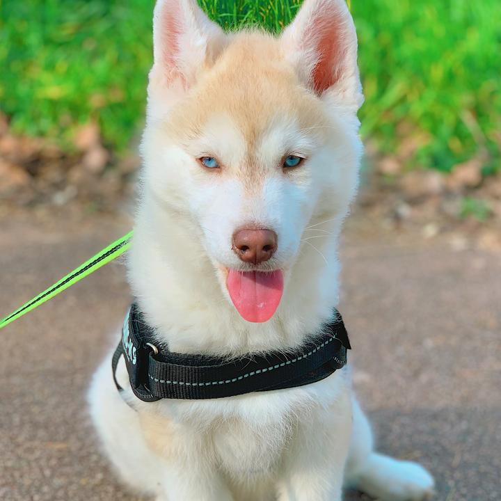 The Profile Image Avatar of yuki - Yuki