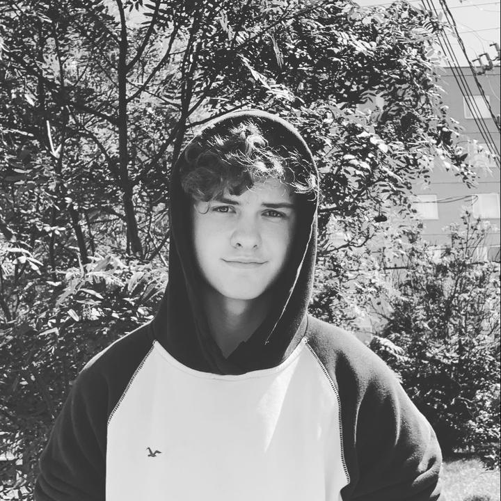 Bodybuilding Club TikTok Analytics Profile, videos & hashtags Exolyt