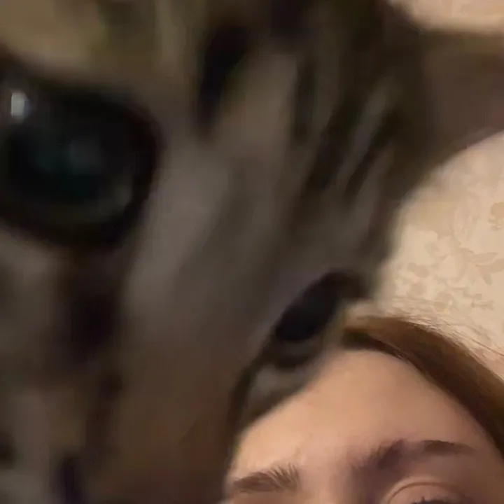 _llleeerrr_