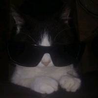 TikTok Account - gunnn_948