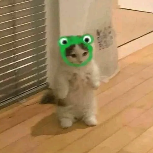 @little__vibes
