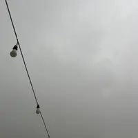 mesevesh