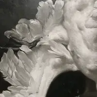 iyn0r